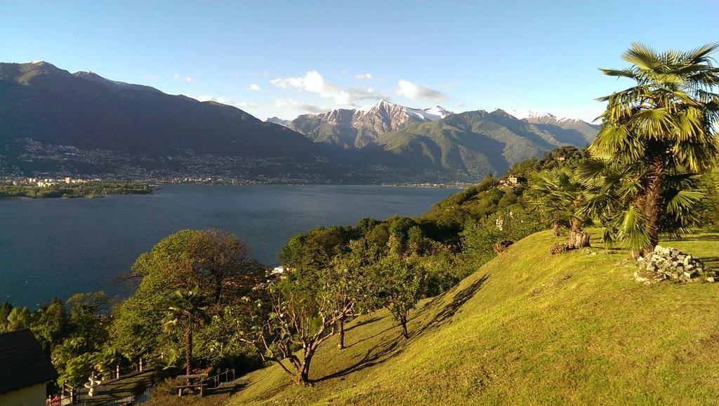 Corte delle Camelie Gambarogno Esterno foto