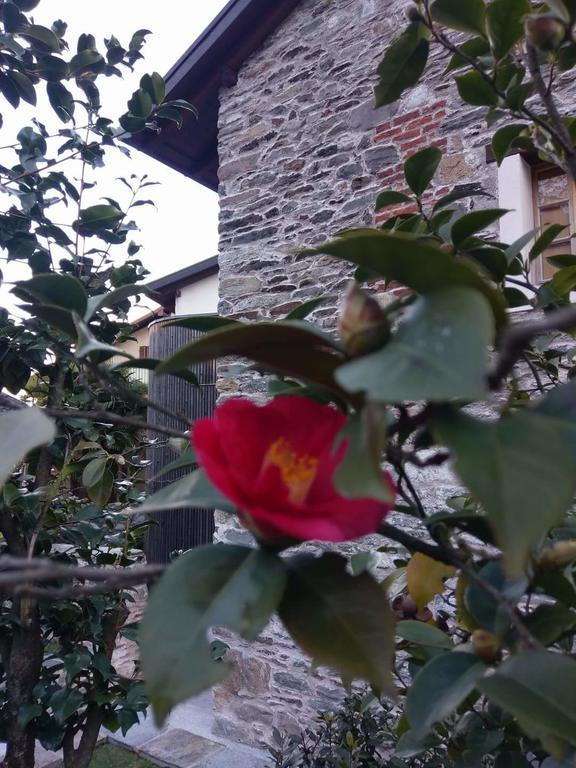 Corte delle Camelie Gambarogno Esterno foto